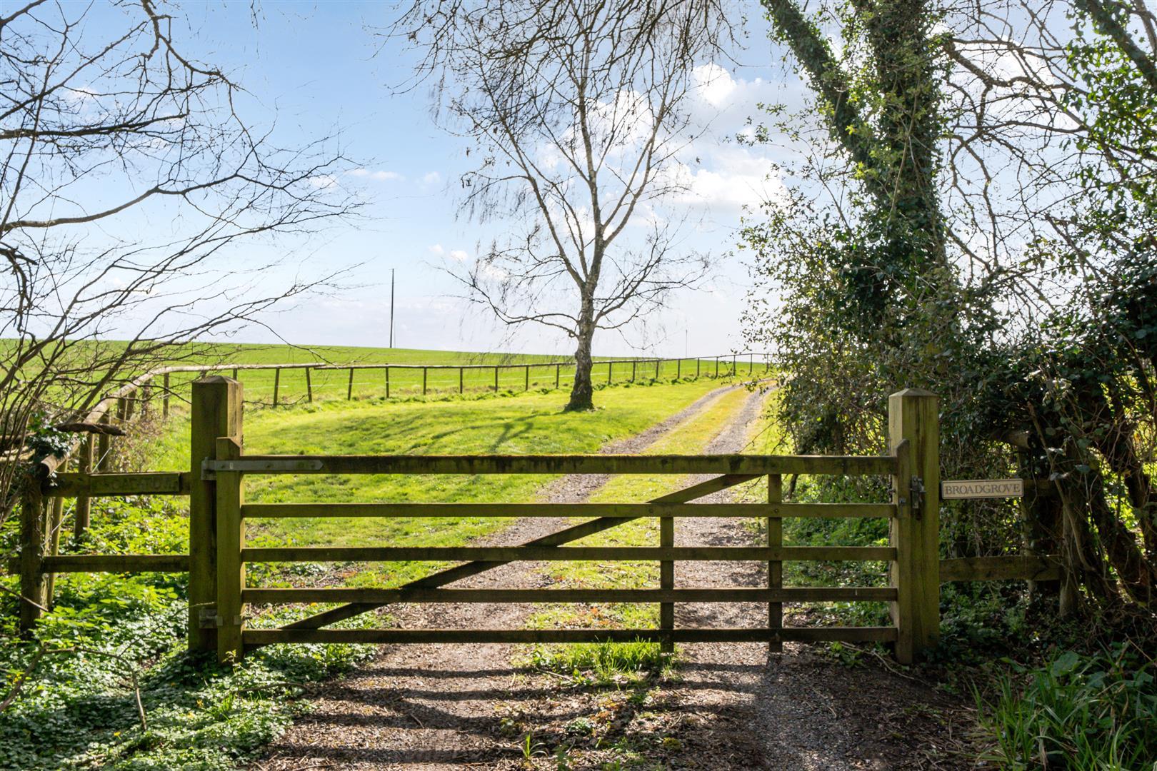 Property Image cf8f3d1e-d59b-4e8c-8f69-d6cb22cc5d67