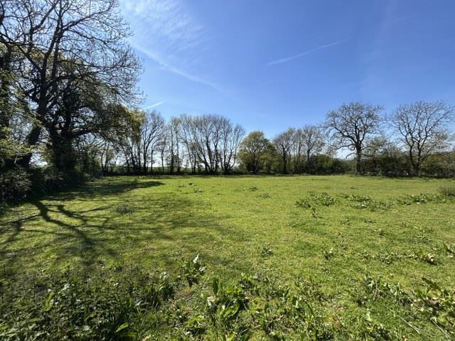 Property Image cfba080c-561f-48ed-8fc7-6bd341269000