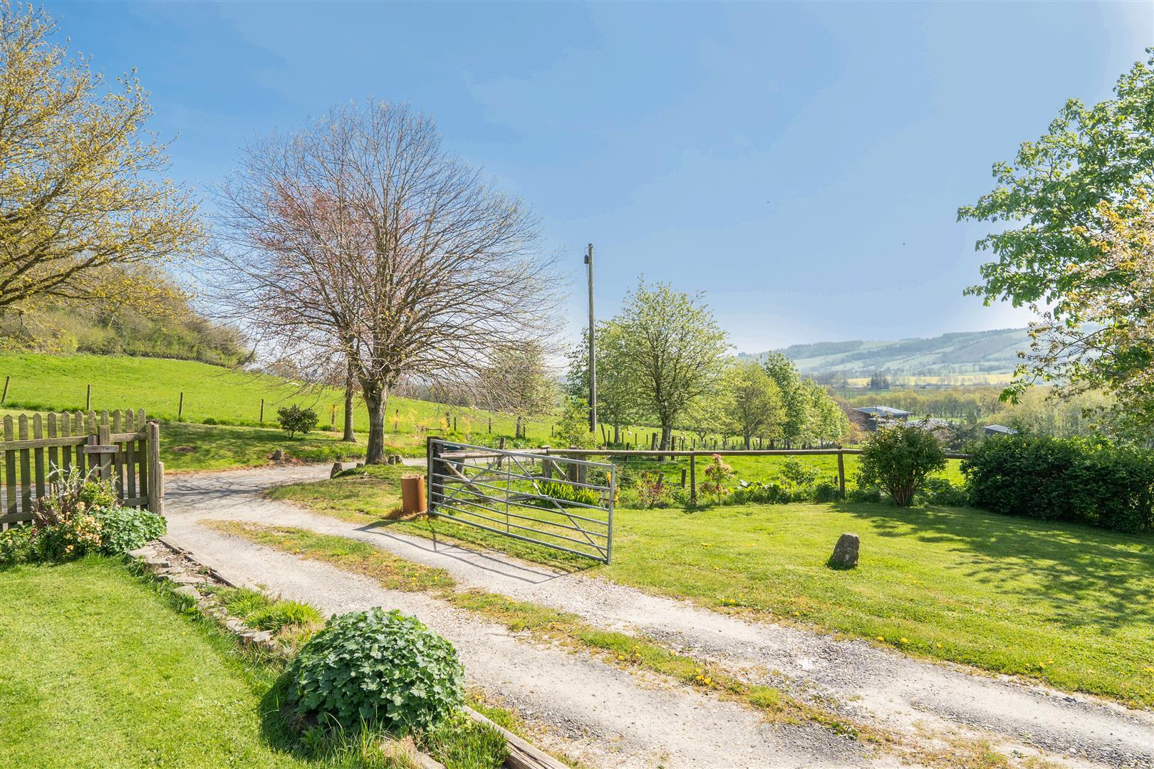 Property Image cfddce60-77b6-40ac-8c2f-2220cf981fd5