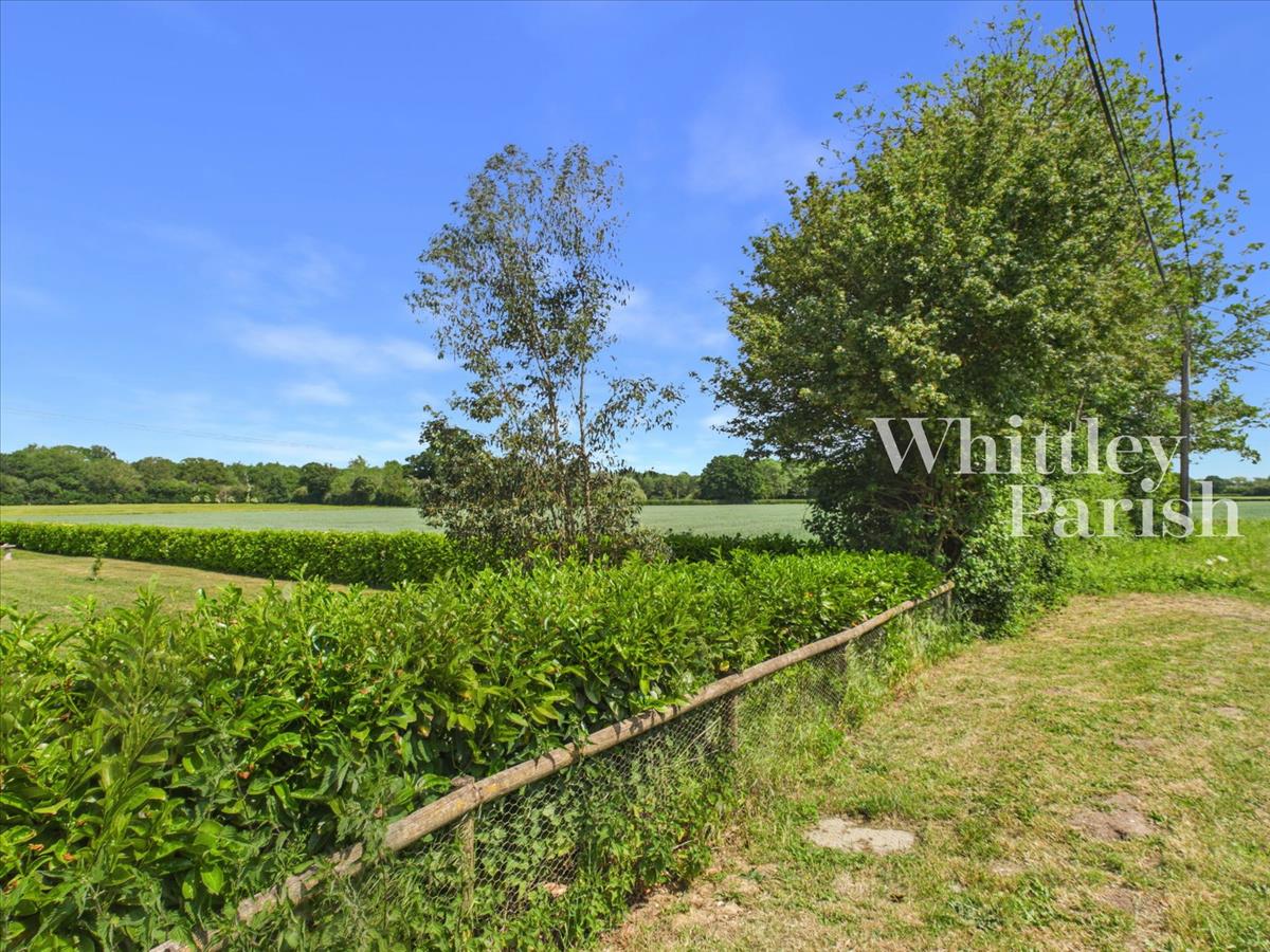 Property Image cfec7c4f-a421-48d7-89ee-cfa33ba54bde