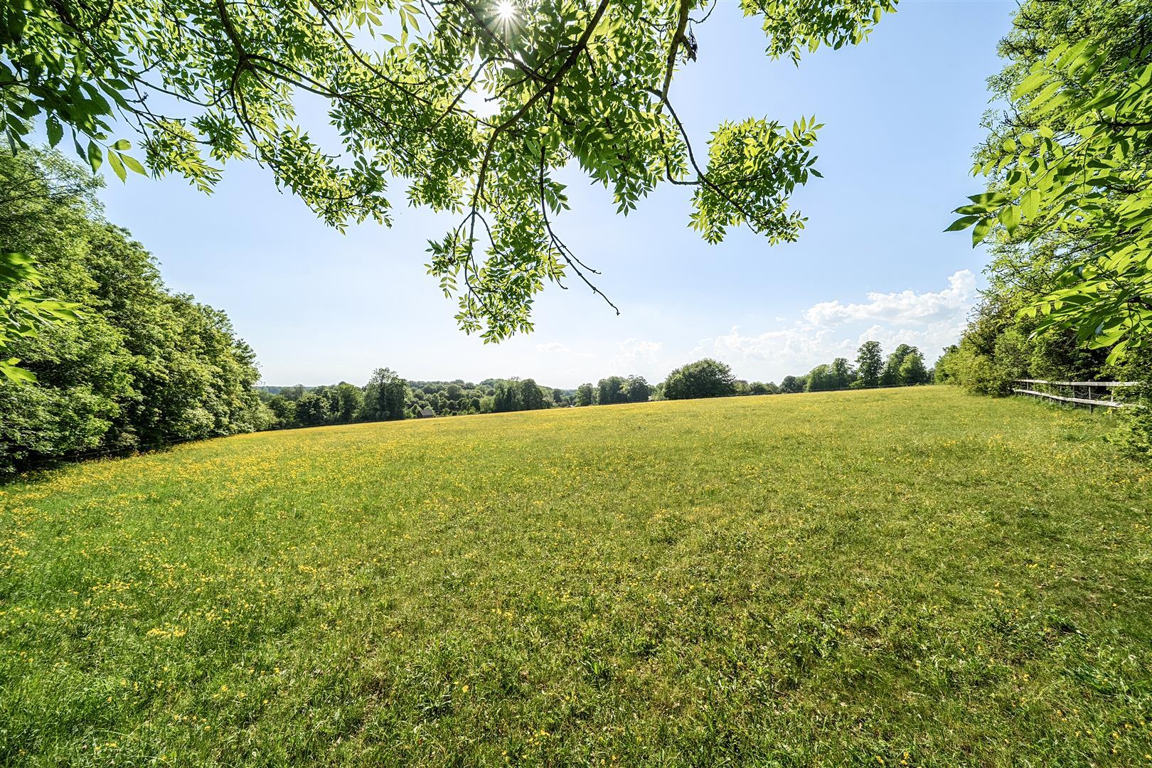 Property Image cff533ea-258e-42c2-b875-cf79681ce21d