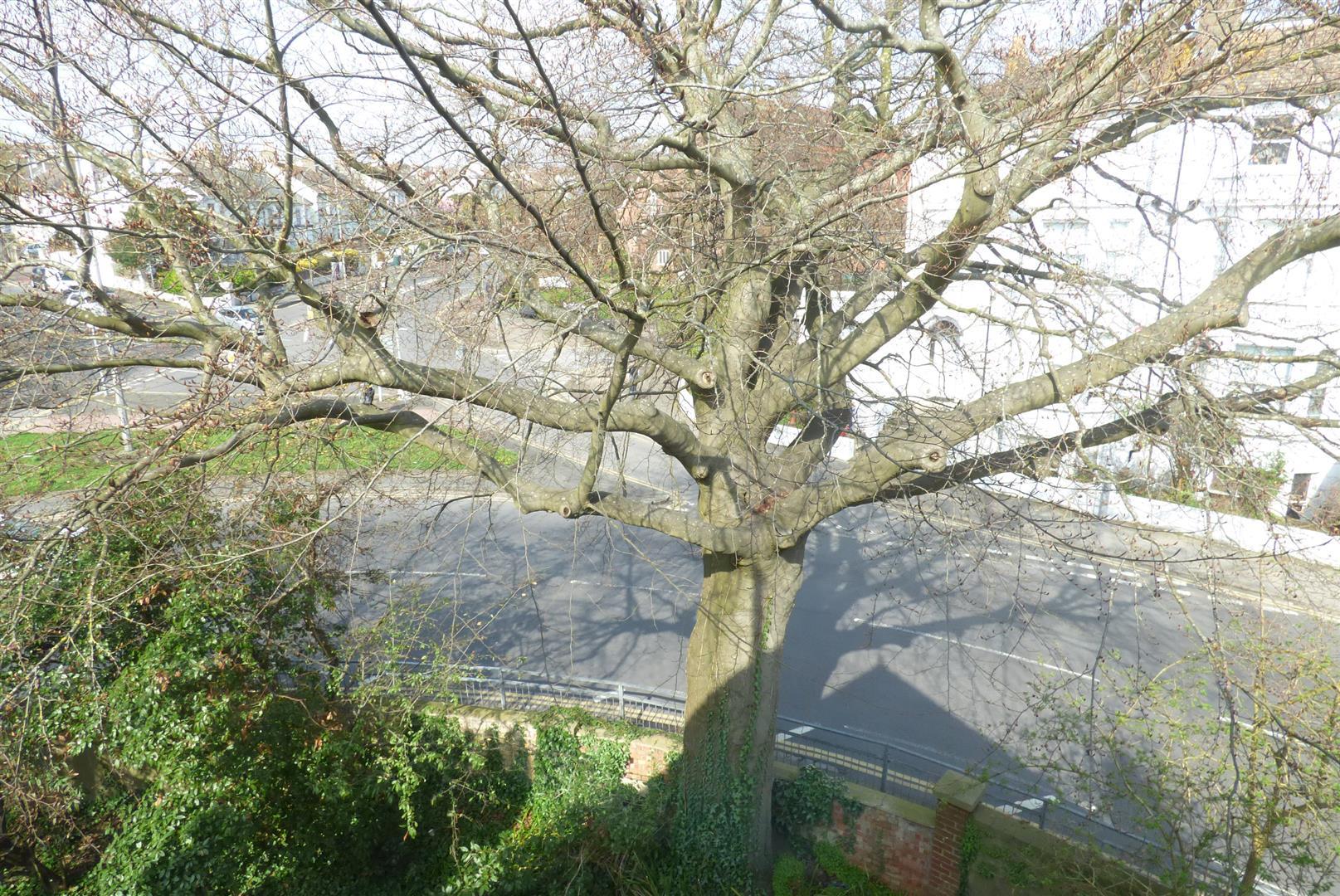Property Image cffa830f-e7f0-44d4-b94c-c4dde95b7d81