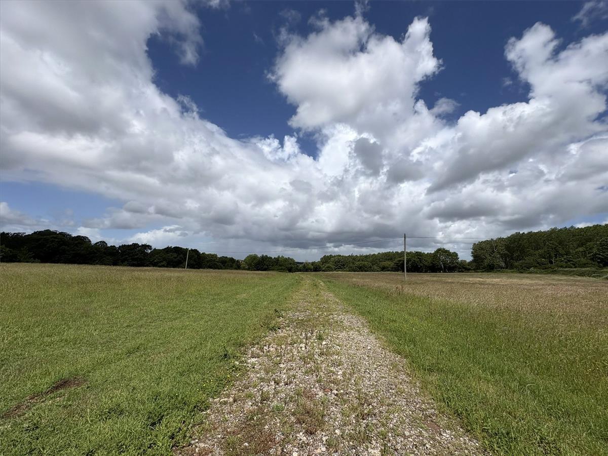 Property Image cffd45c9-9c4b-41cc-954f-662099013904