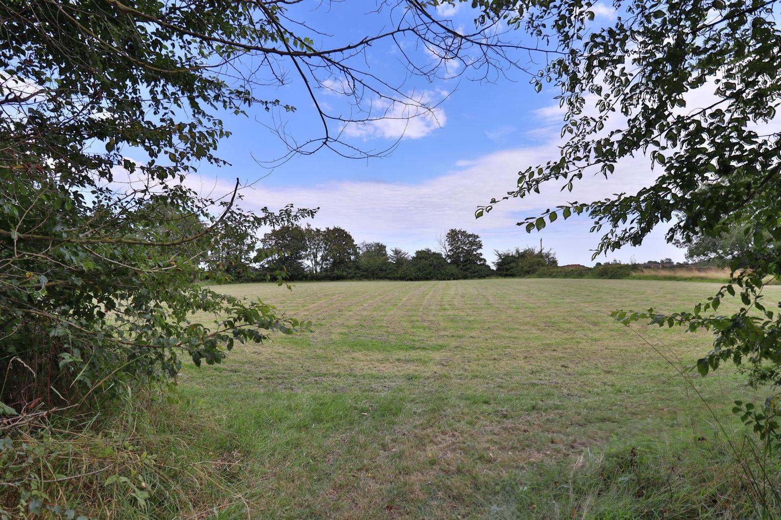Image 20