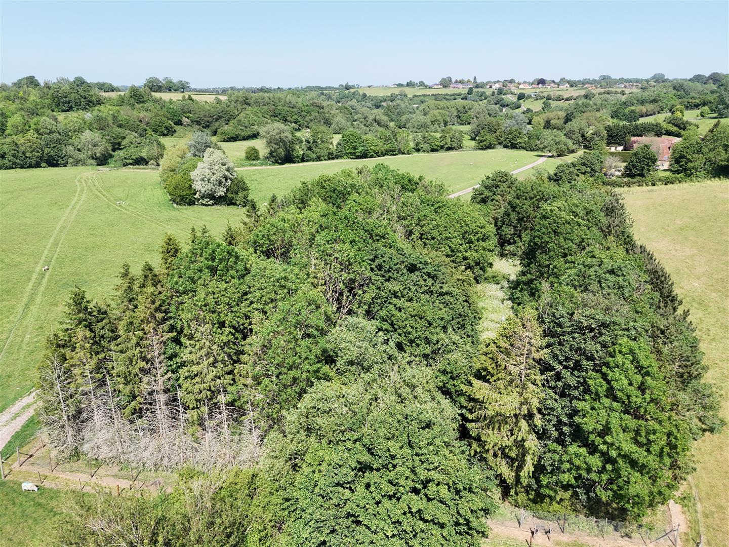 Property Image d0268075-51c5-4920-99d4-4f672ede30b1