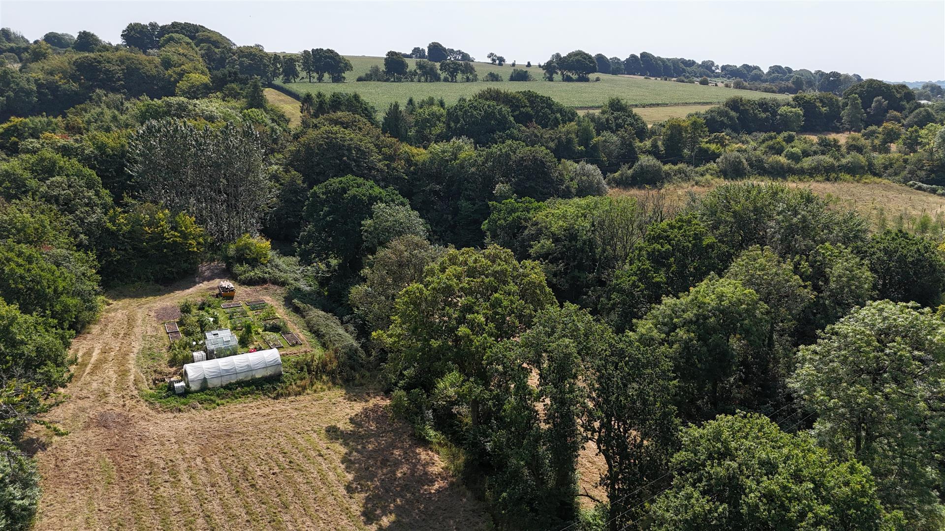 Property Image d0d7c718-c443-4c6b-b9c5-628170b4f79c
