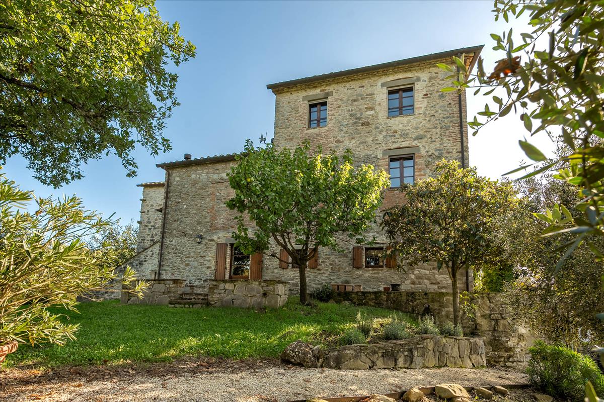 Property Image d0d83d55-4105-467c-a556-c2336c6dd552