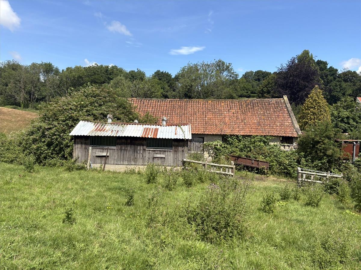 Image 23