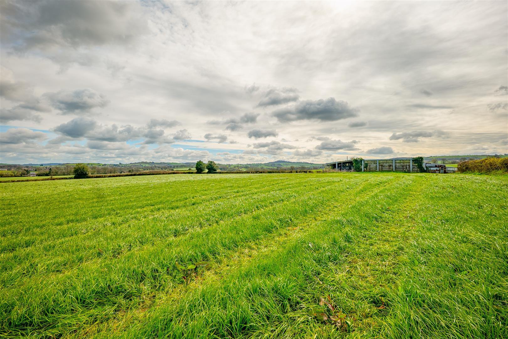 Property Image d0e17b04-a6c0-449f-afb6-ab71bc86a371