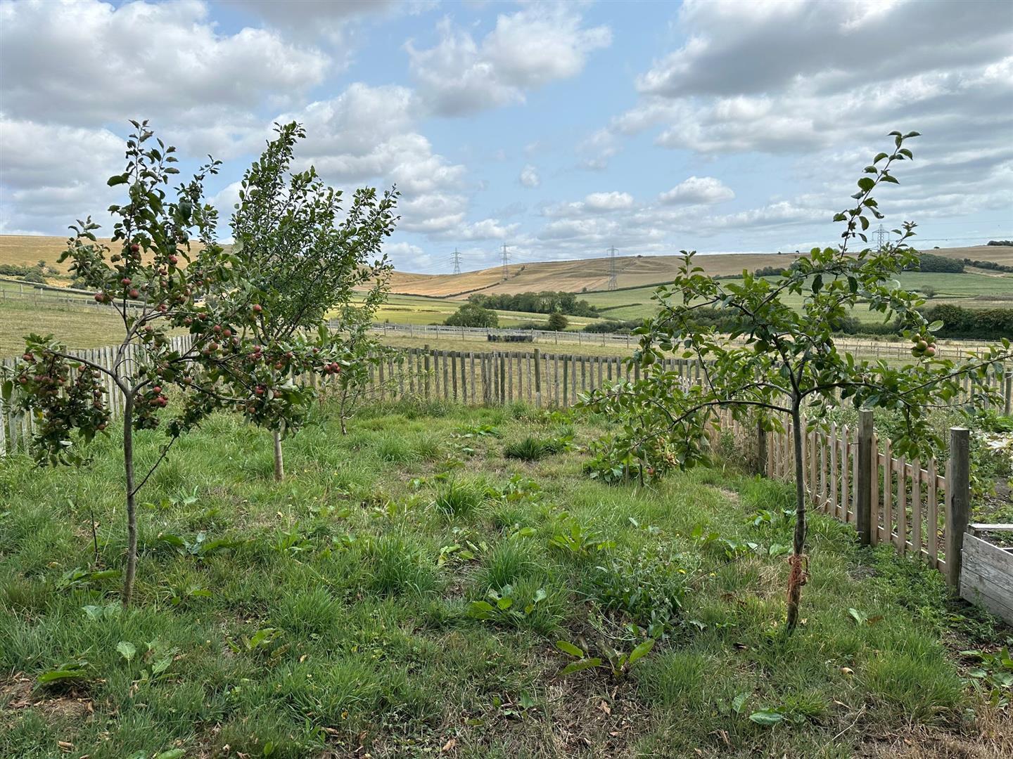 Property Image d0e4d3e3-253b-49b9-a07c-1337f1a64b90