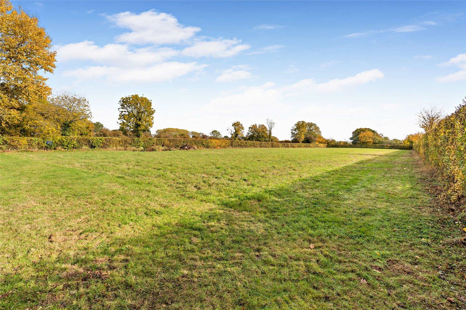 Property Image d0f53669-a88c-4f8f-a18d-534d7675dda9