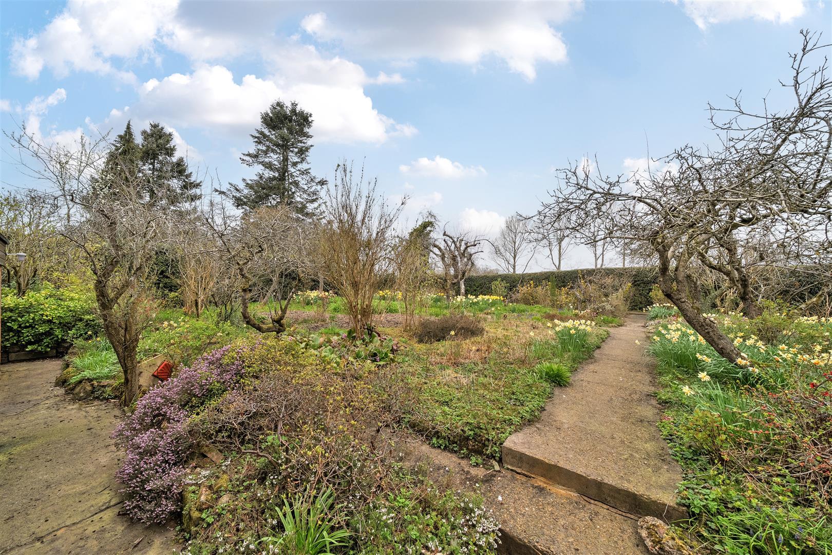Property Image d0ff7745-0c71-431b-b388-f02c42803bbb