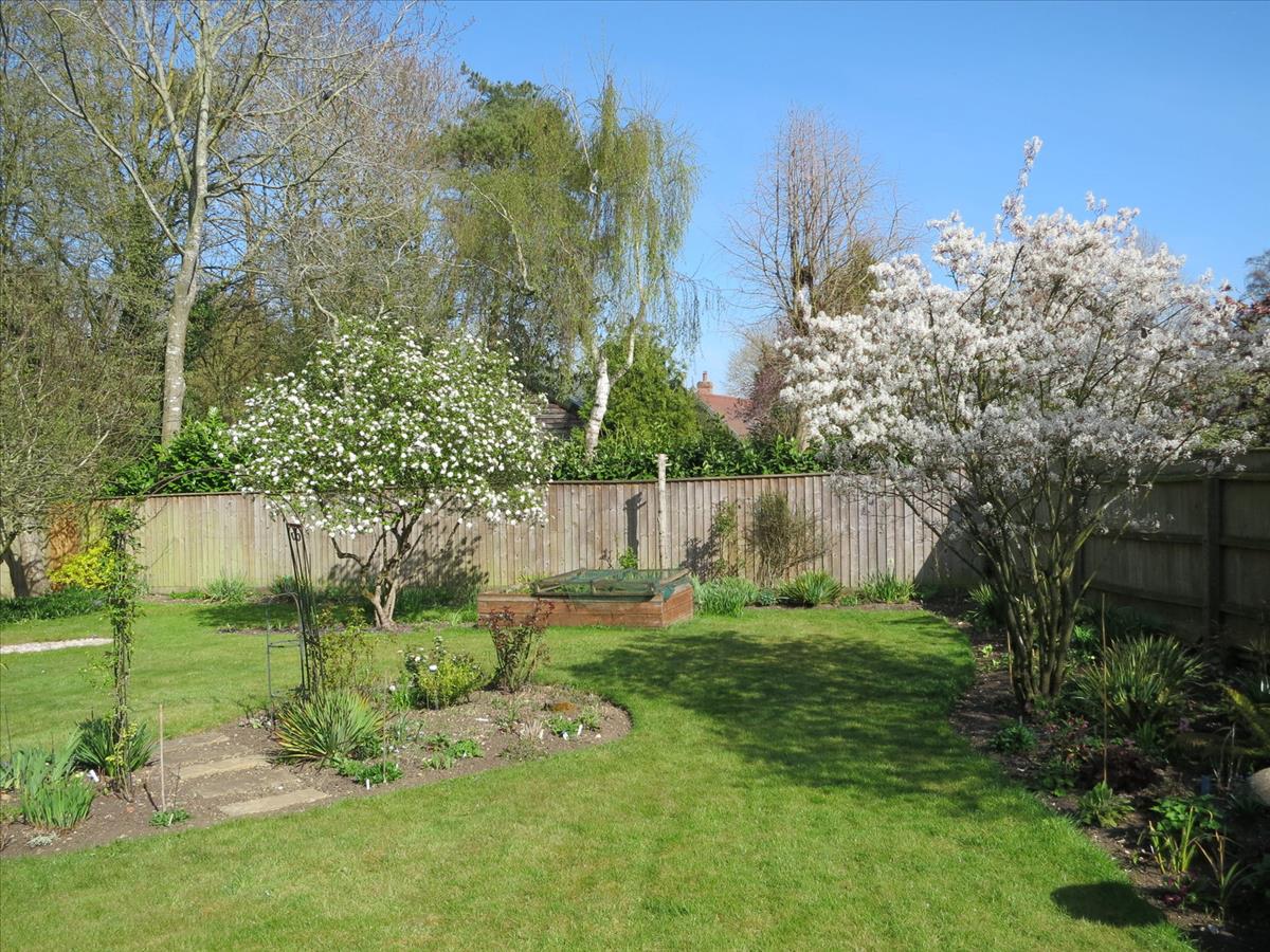 Property Image d100449f-6f56-4093-9b3d-69fb39617c96