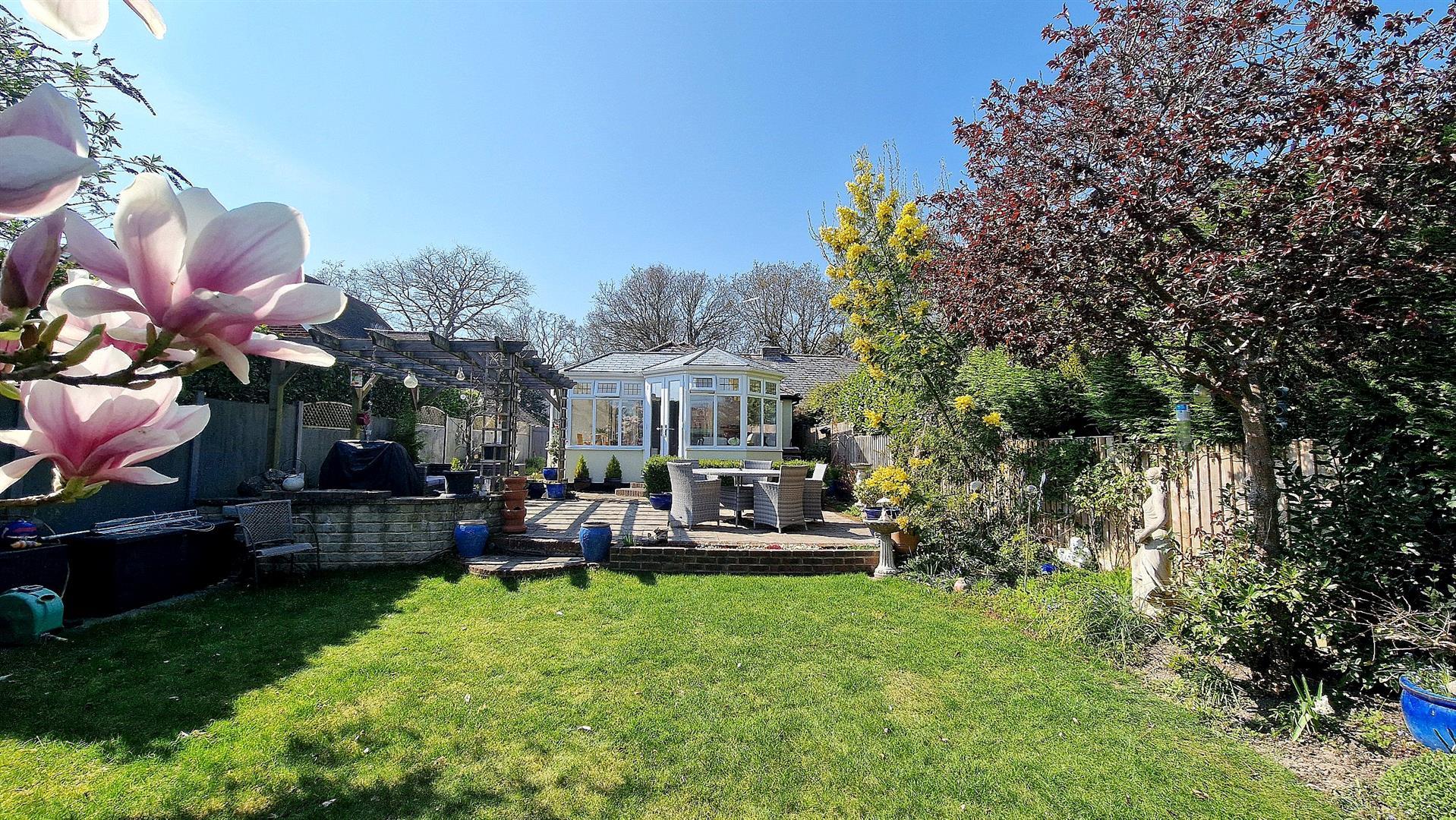 Property Image d166d11d-c5ae-41a0-bc0b-c5951861ad25