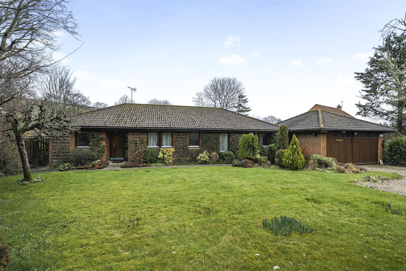 Property Image d174c6c9-3cf9-4788-9f35-80cf3852b4ad