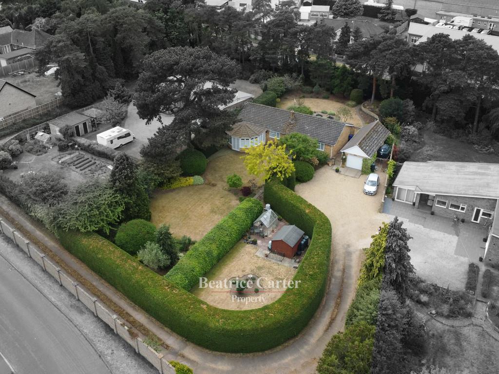 Property Image d1b9ec56-b208-491e-8b4d-43881fcfcc6b