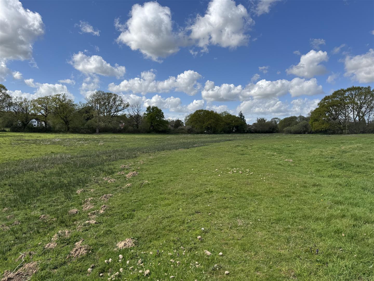 Property Image d1bc4053-2711-4e4e-968b-7df5f2cd5ec3