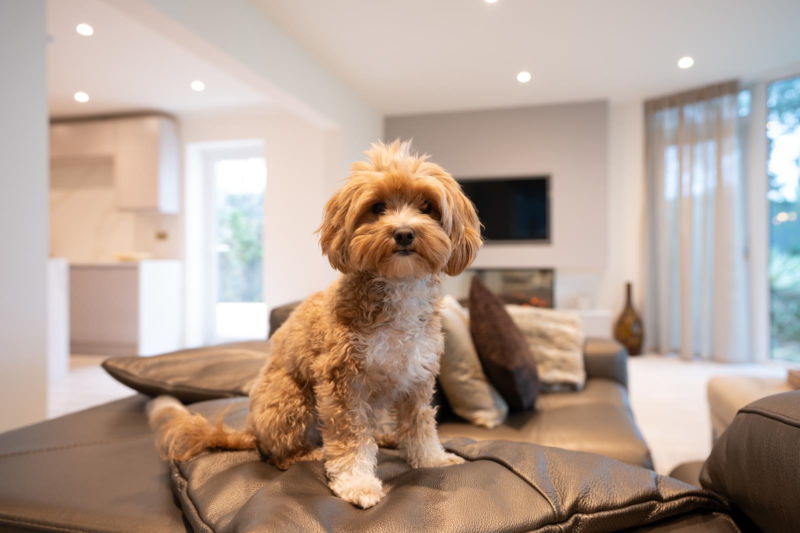 Property Image d1cc4d4c-50fc-401b-824e-486653797da6