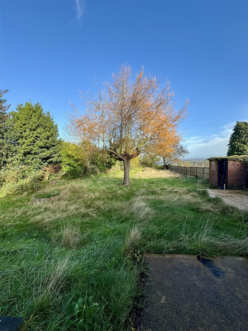 Property Image d1ed17e8-3a12-4eef-bc74-76805ebc174d