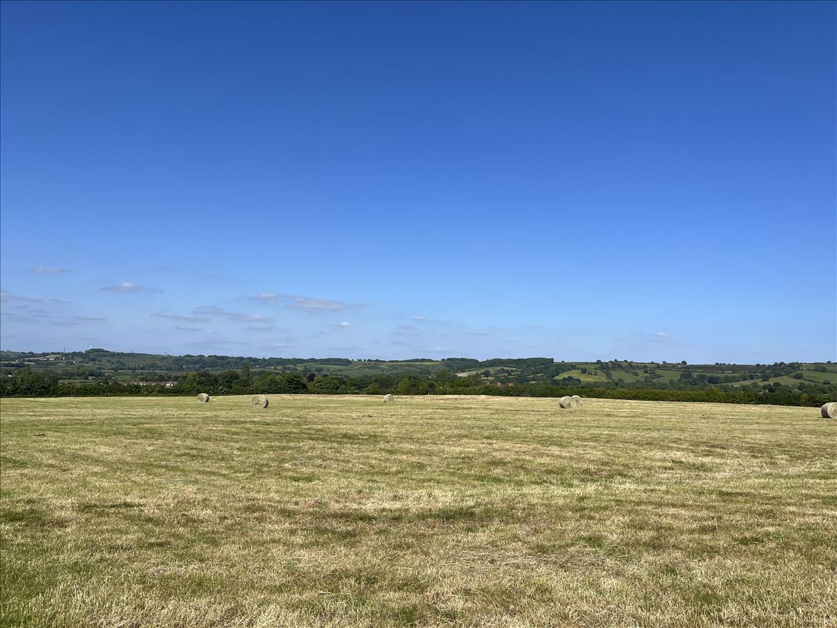 Property Image d1ef2bc6-1c7a-41d1-bd66-679502ecec9b