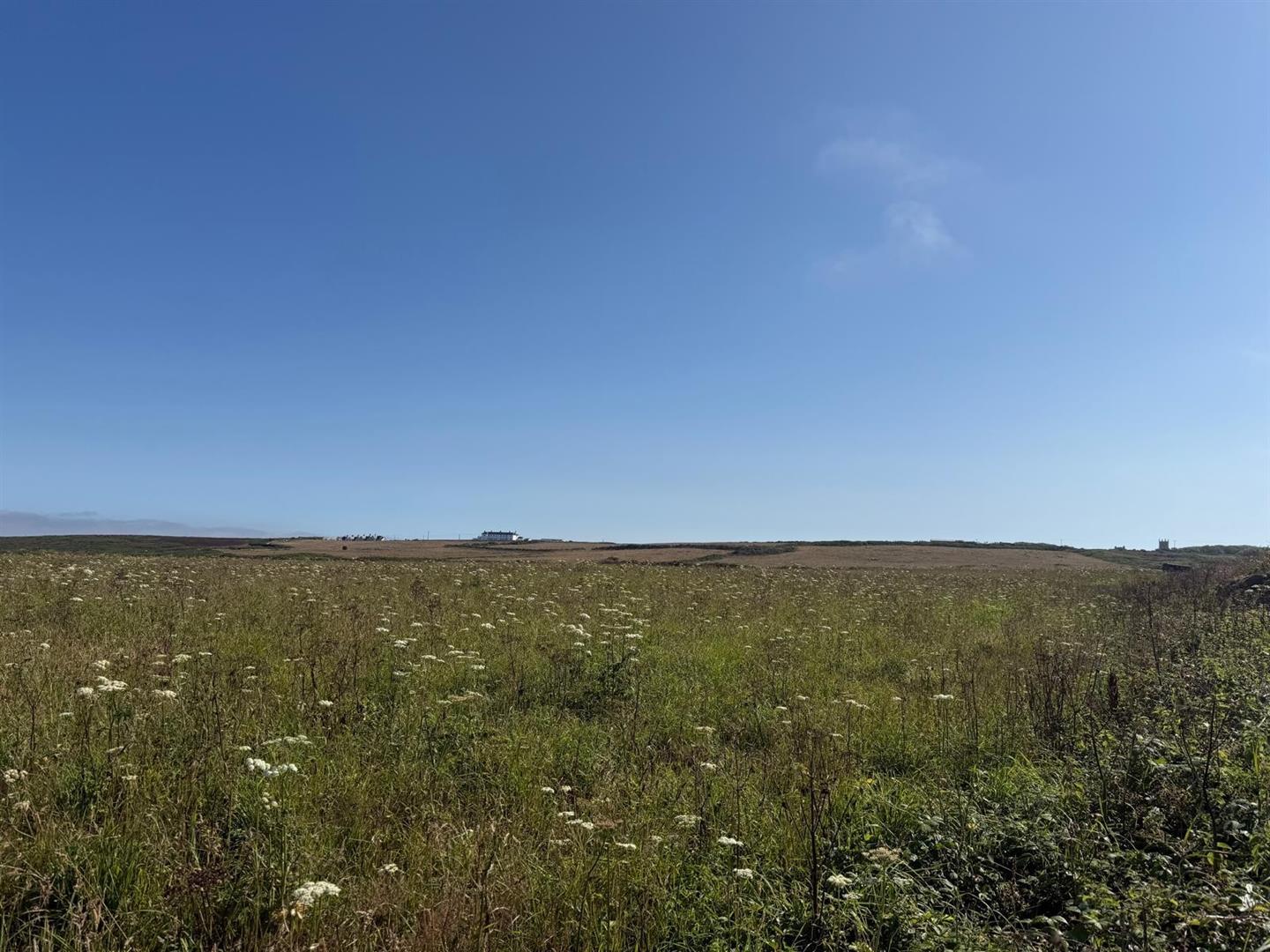 Property Image d22ad460-fe0a-4578-a84f-17960d8bc194