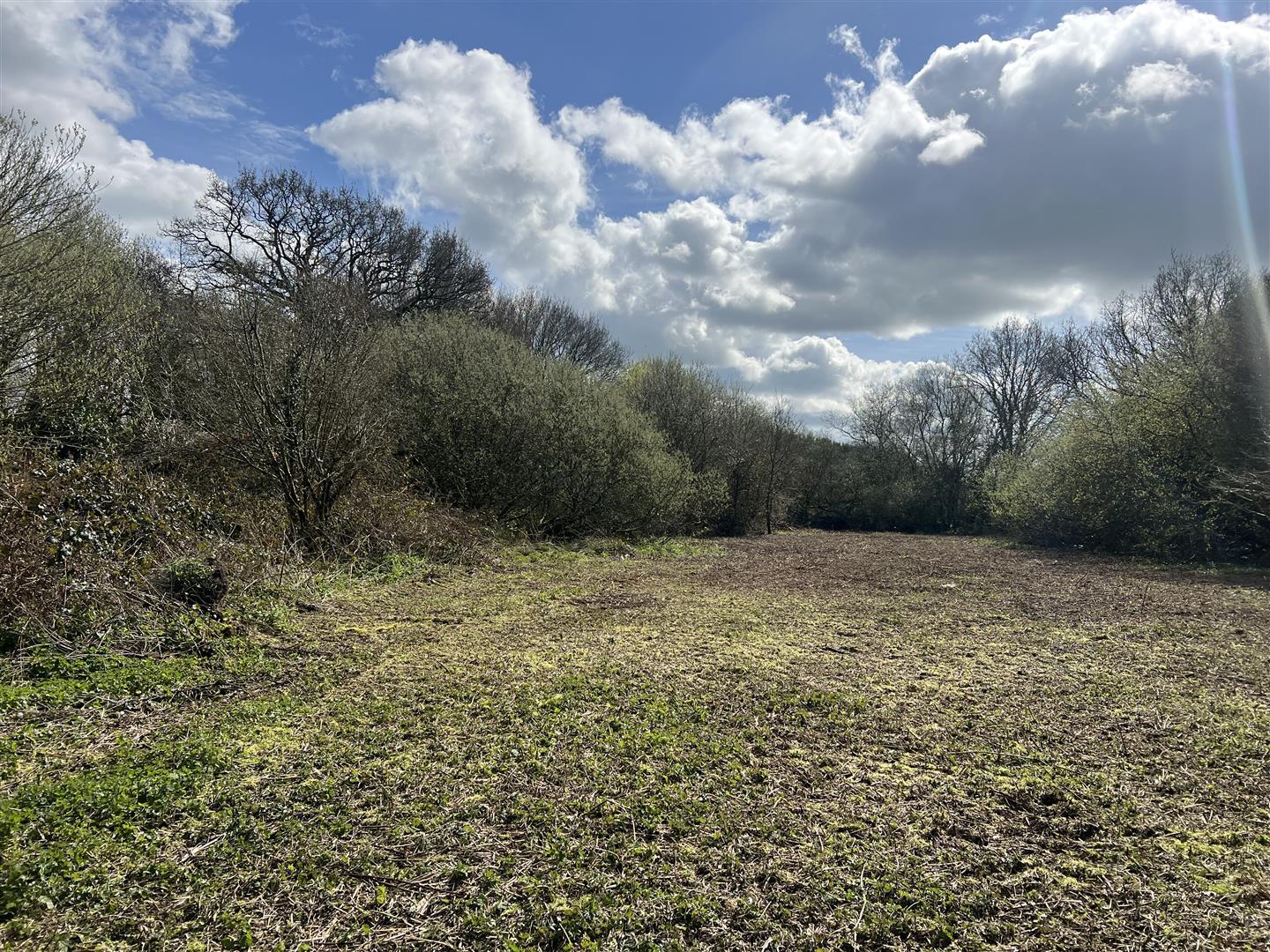 Property Image d233c23d-62e5-4e48-9fae-7f5f1995511f
