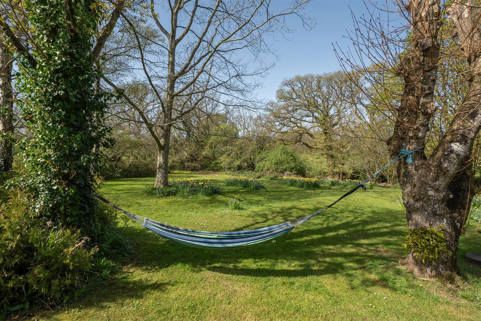 Property Image d23a32ca-7740-4b74-8bad-d3645ef06cf2