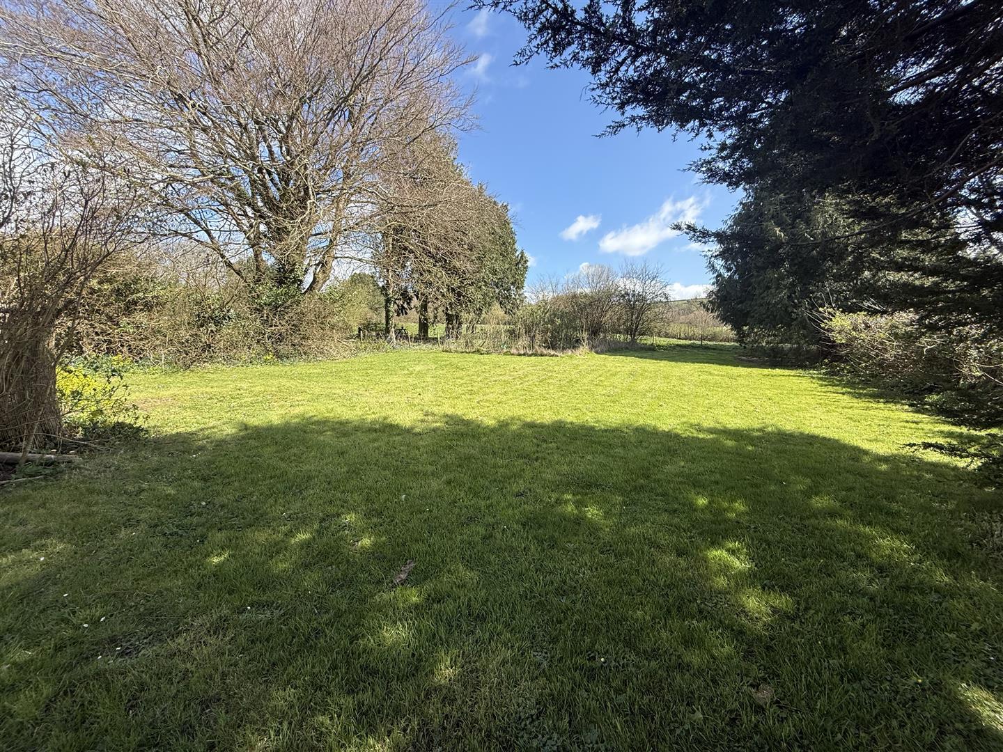 Property Image d2616bd4-c45d-402e-b636-f1a9d0880b08