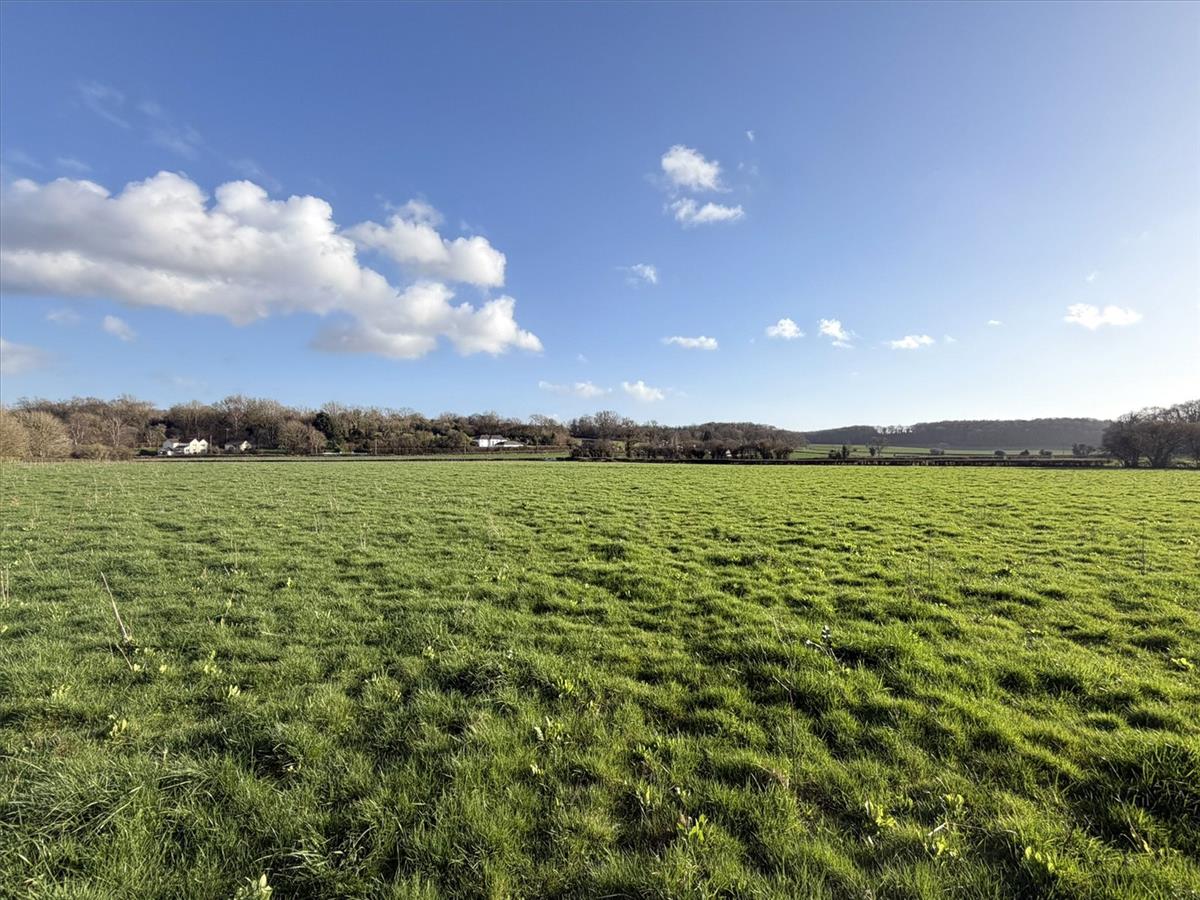 Property Image d27116c7-866b-4fa6-b928-eedfbc732e2b