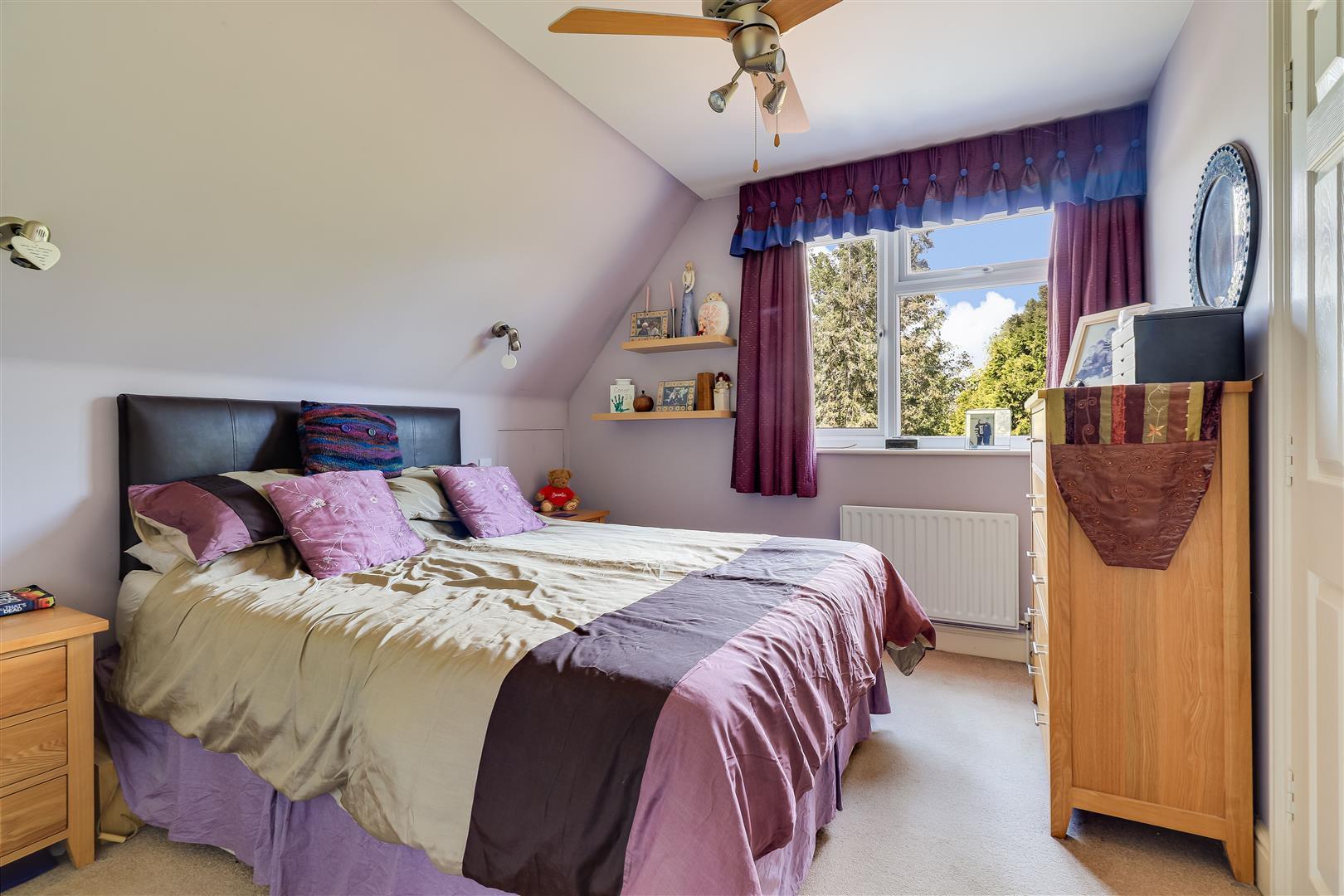 Property Image d289b067-cc4a-41cb-99d4-34a26e49bff6