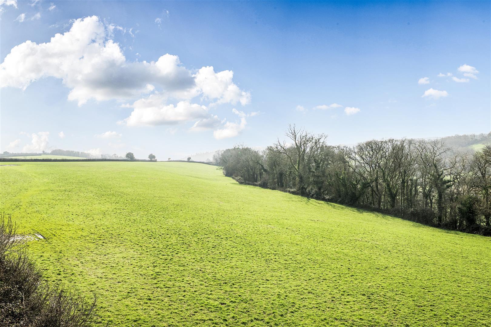 Image 15