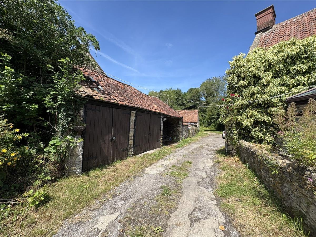 Image 21