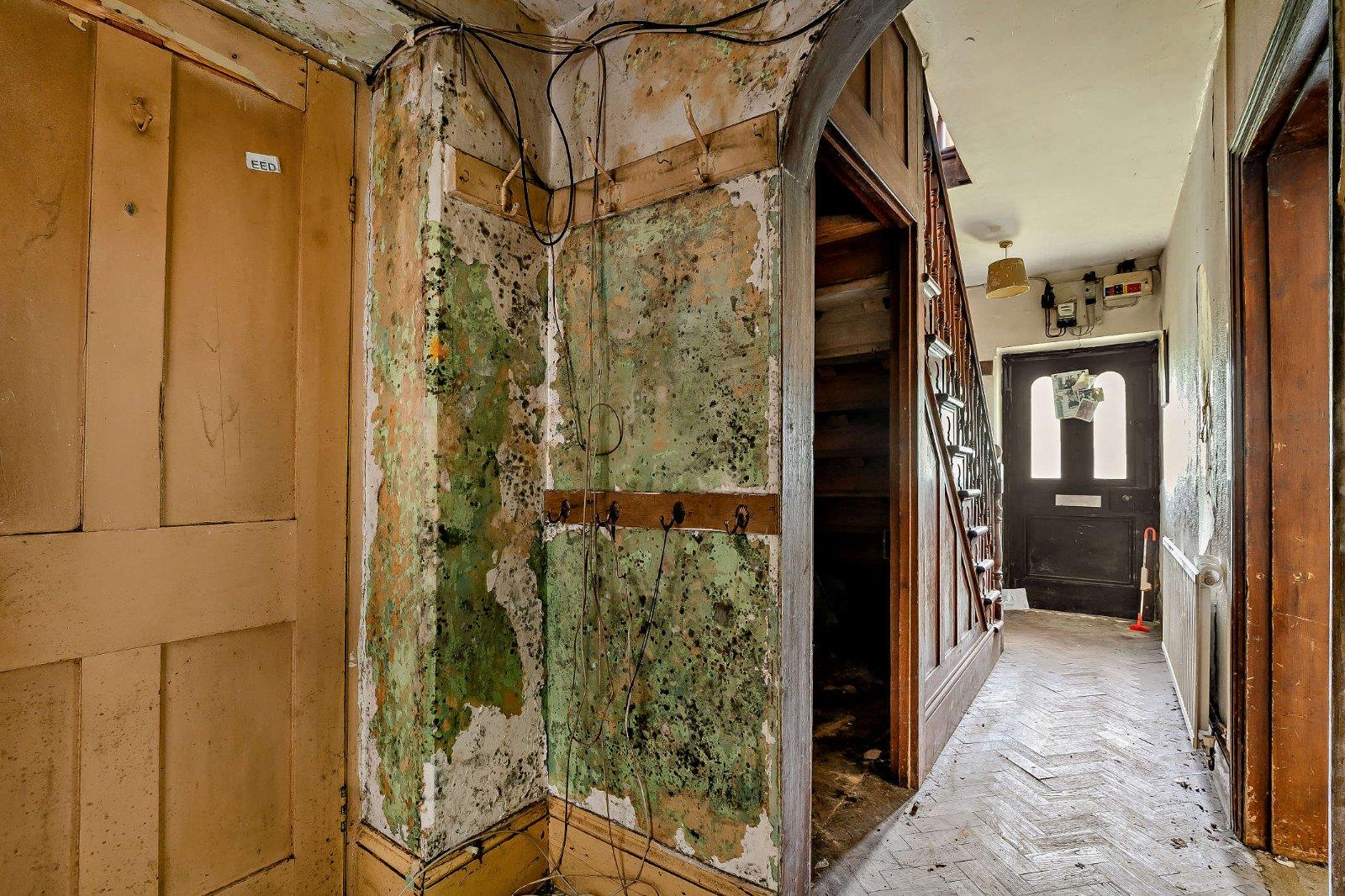 Property Image d2bd7559-d321-4d6d-bc9c-9dc699bbbe66