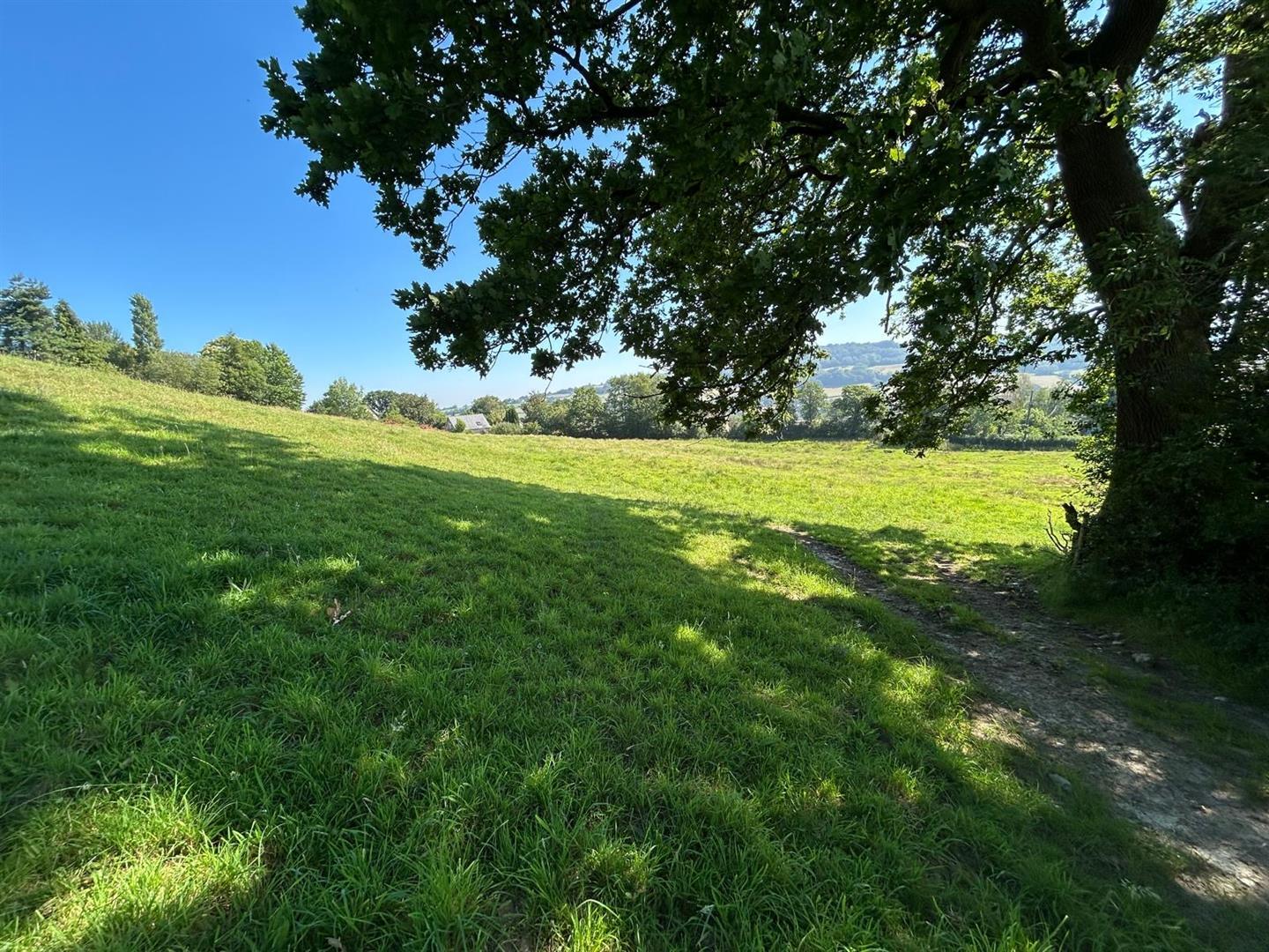 Property Image d2c94b06-9e43-4882-9530-bd7537c89407