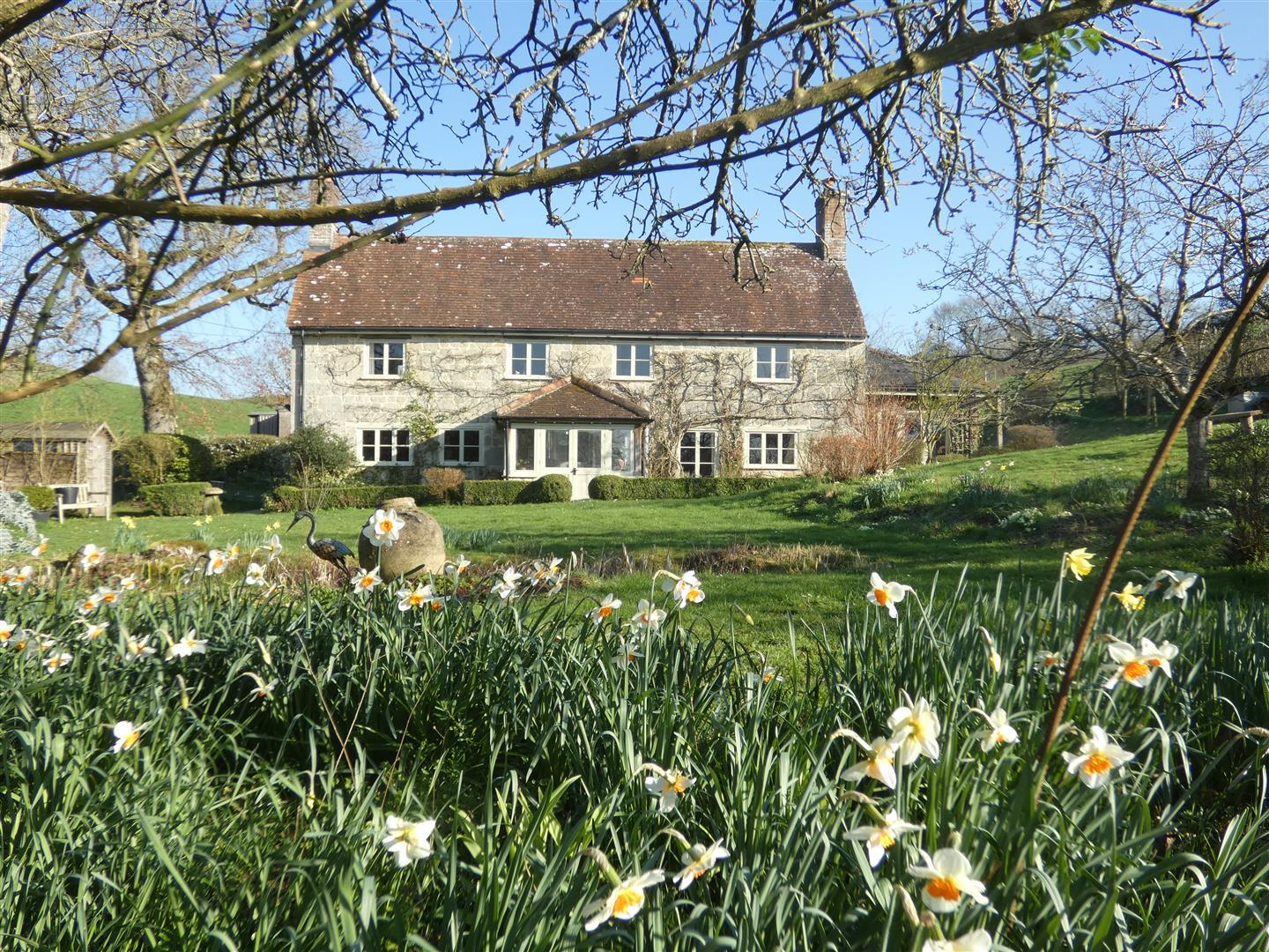 Image 26