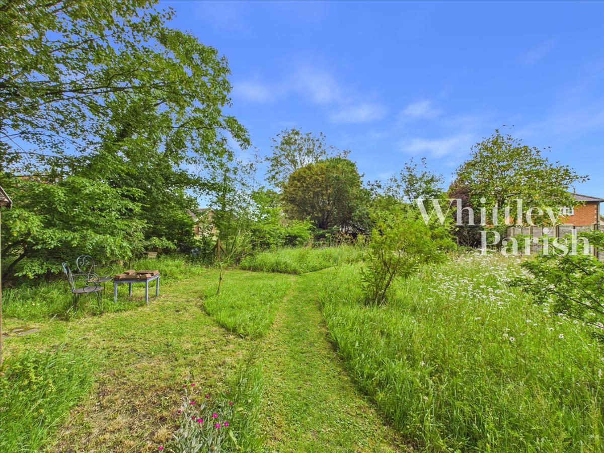 Property Image d384149c-1349-4236-8119-cce1d2b7c03f