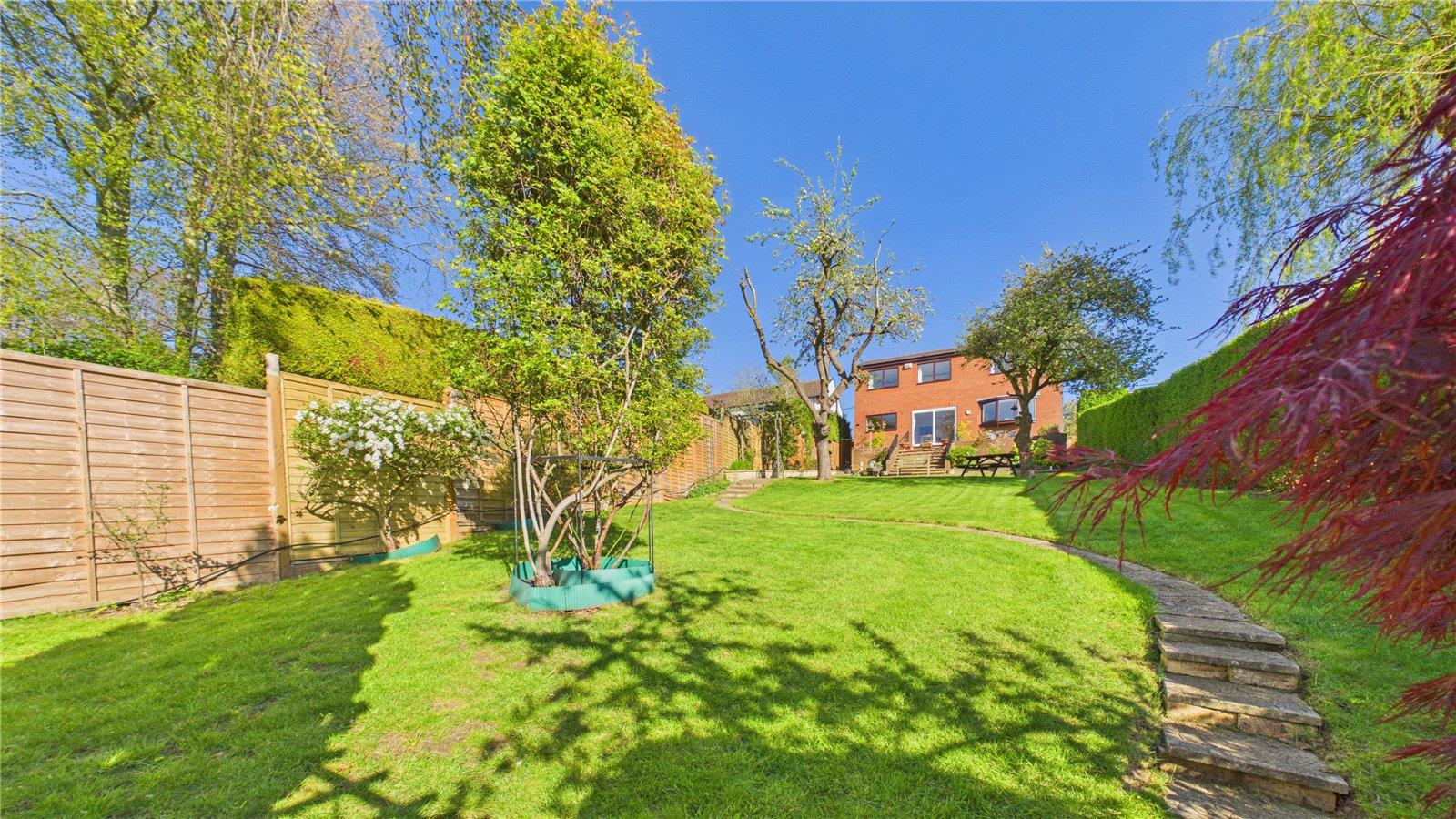 Property Image d386cfde-1665-46dc-87ec-ed4408ba6901