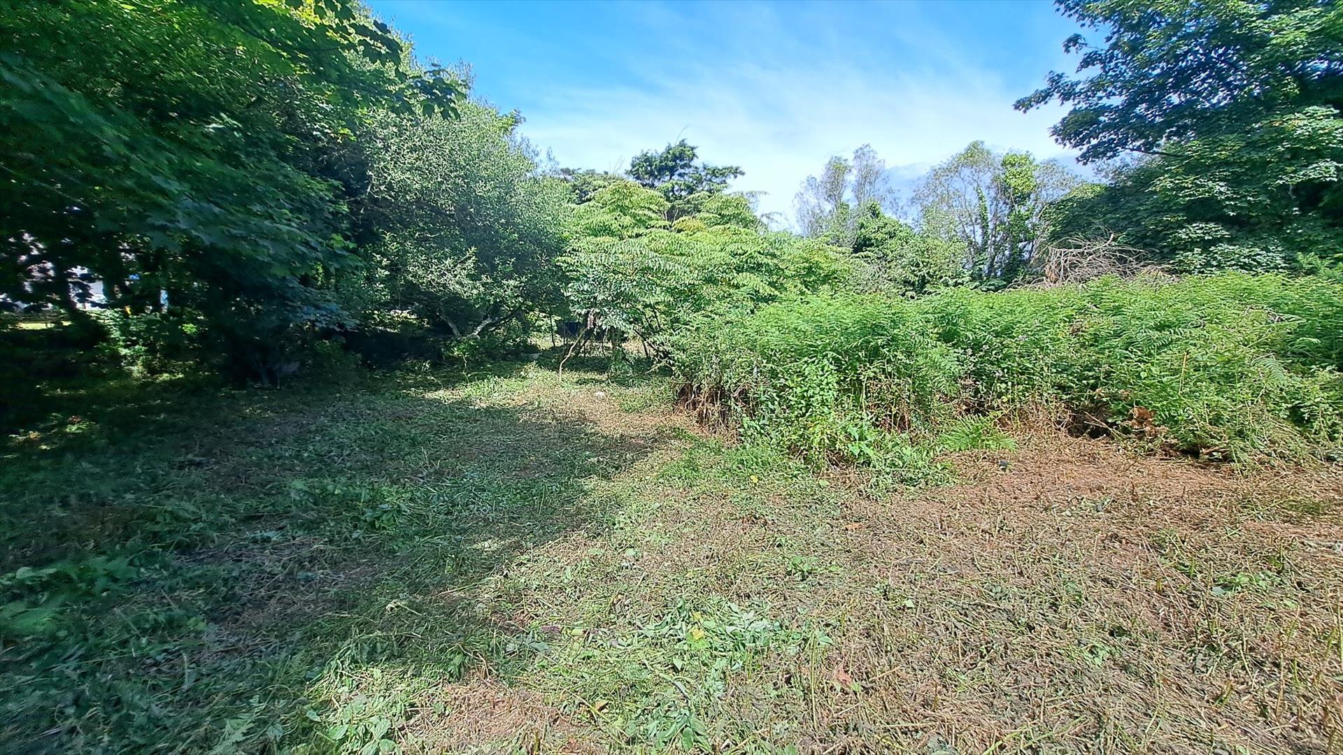 Property Image d39a07da-c2da-4f10-8d68-34e61c2b2677