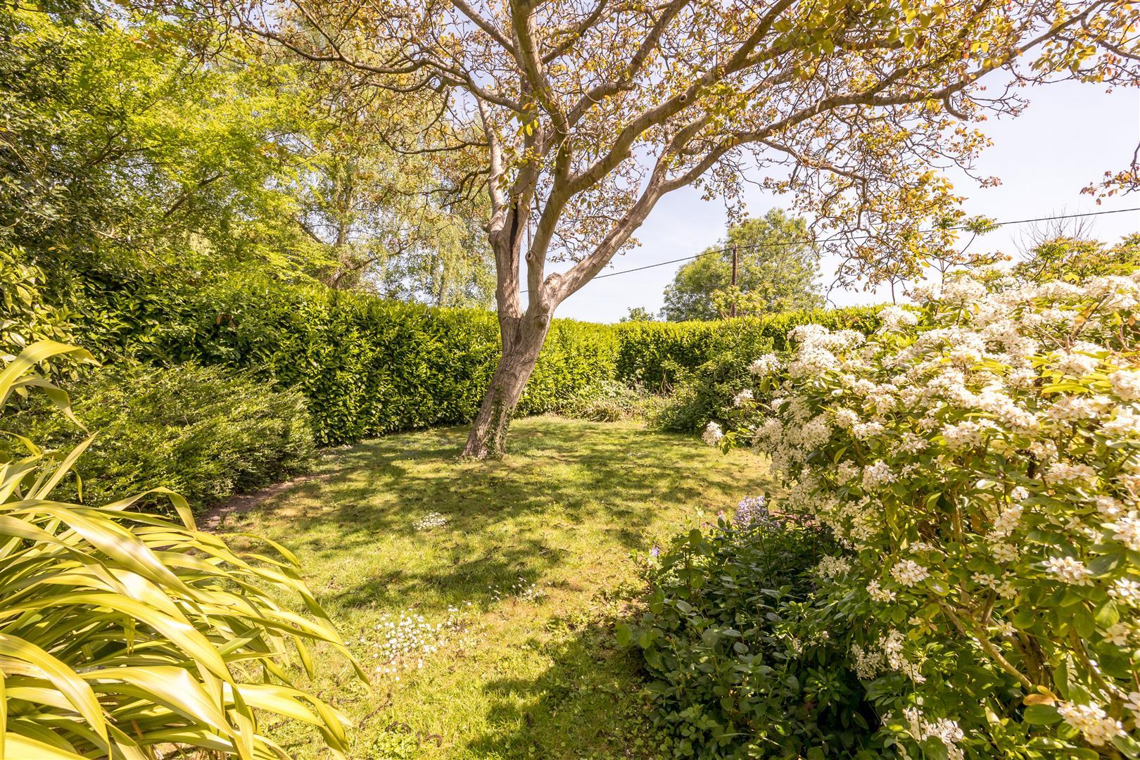 Property Image d3a75069-ee0f-44b9-8a26-ae1ce6d41d15