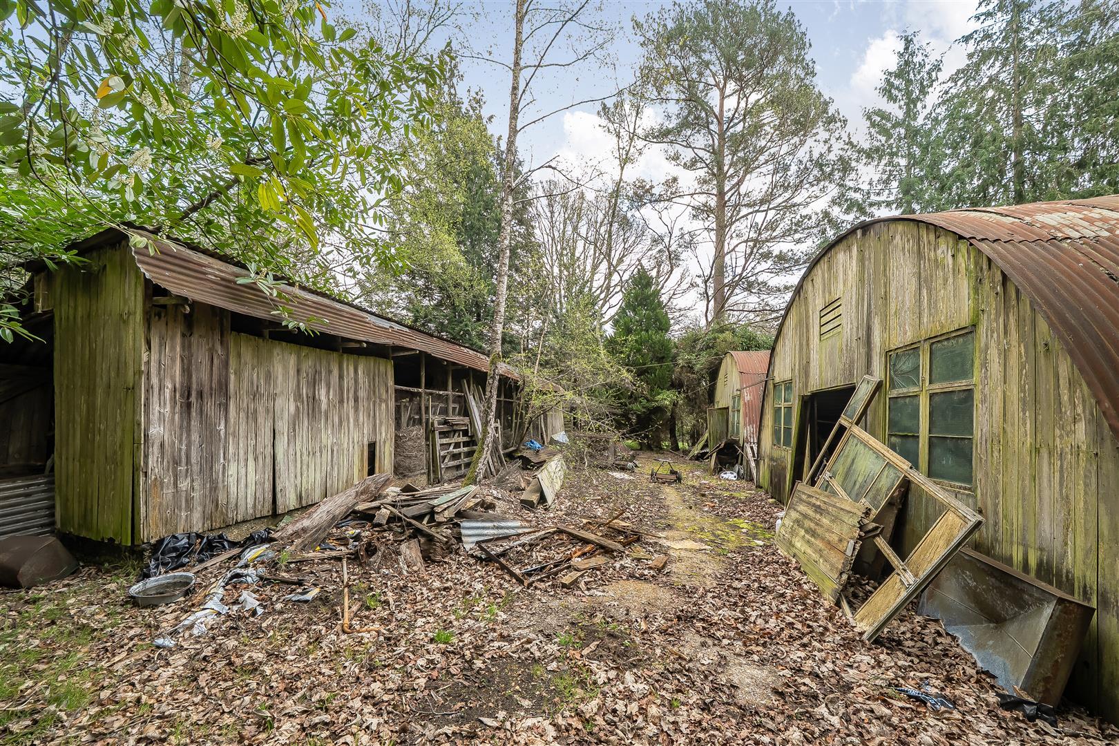 Property Image d3aace37-9f20-4c1f-bf0b-2e6382181a5b