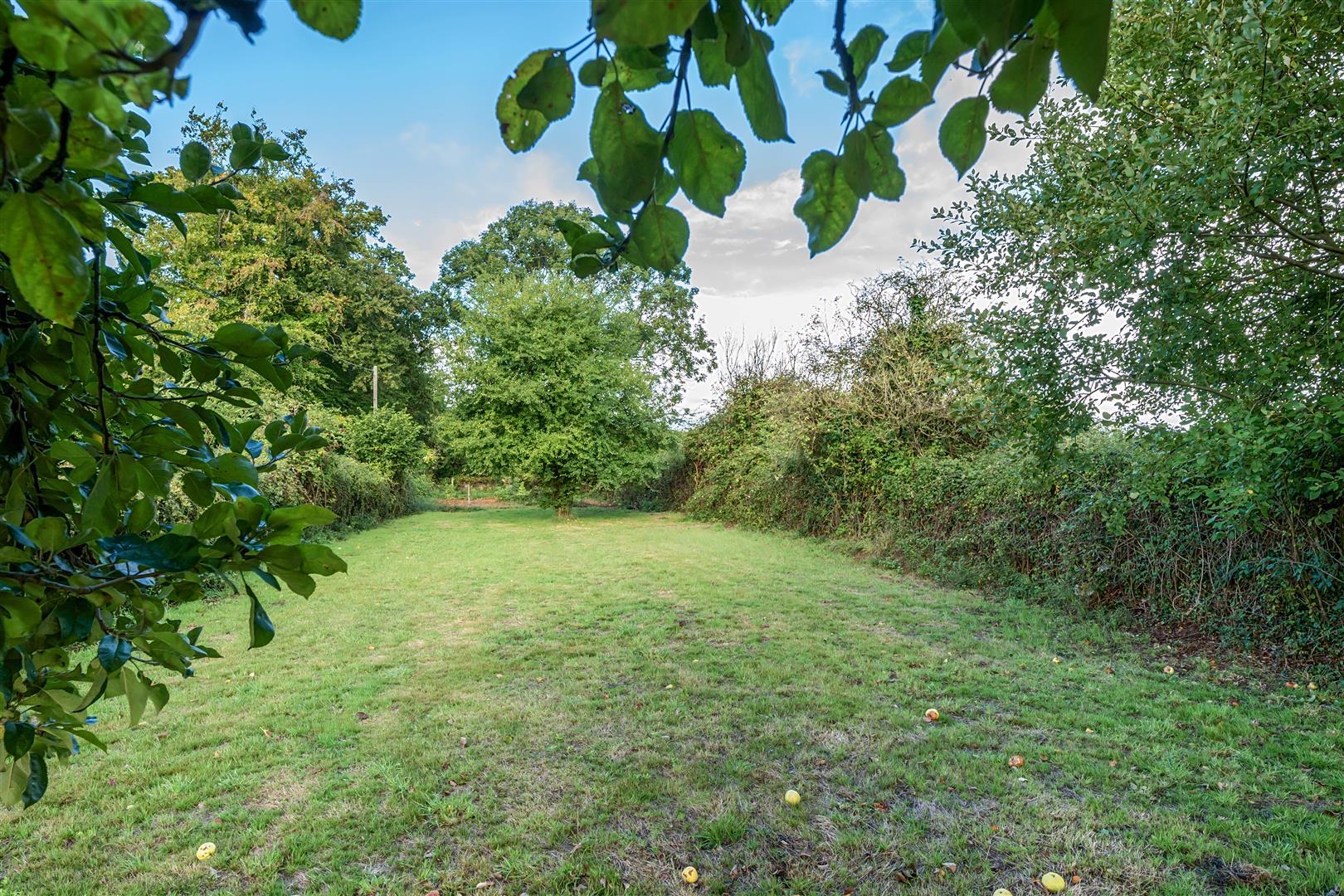 Property Image d3f3742b-dfc8-43dc-a33d-03a065d453bc