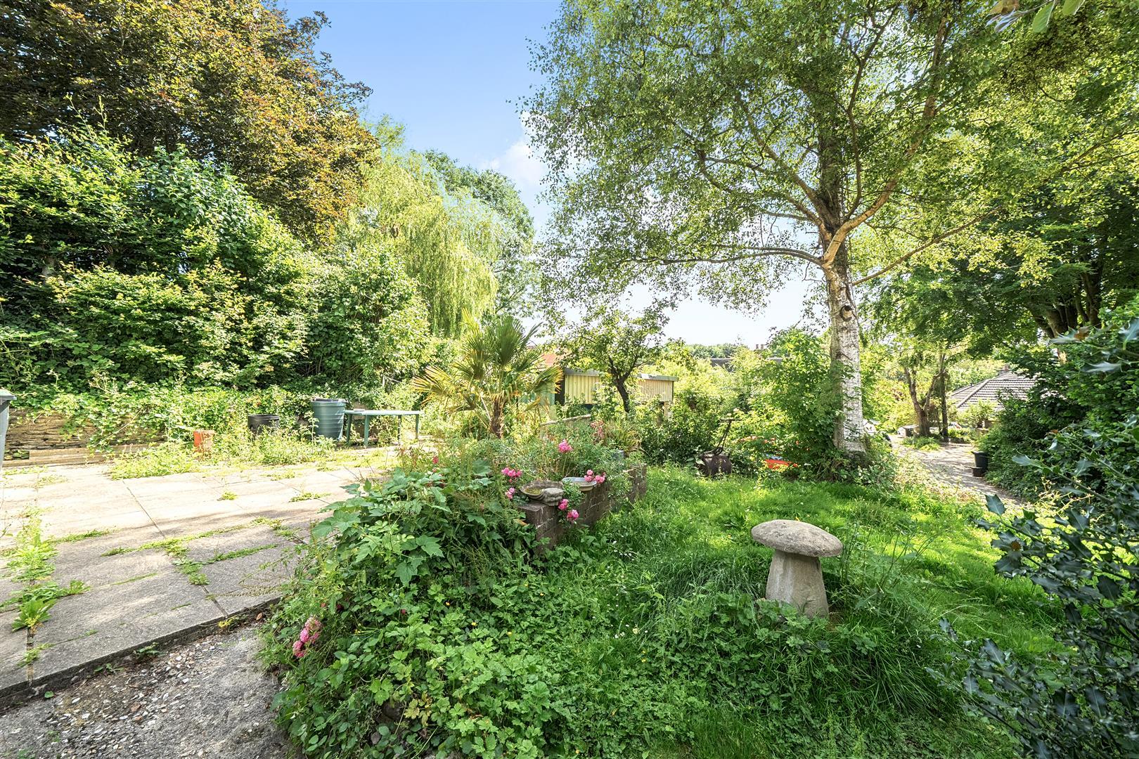 Property Image d414fd76-5a96-4851-a1cf-a4a8541ffcc3