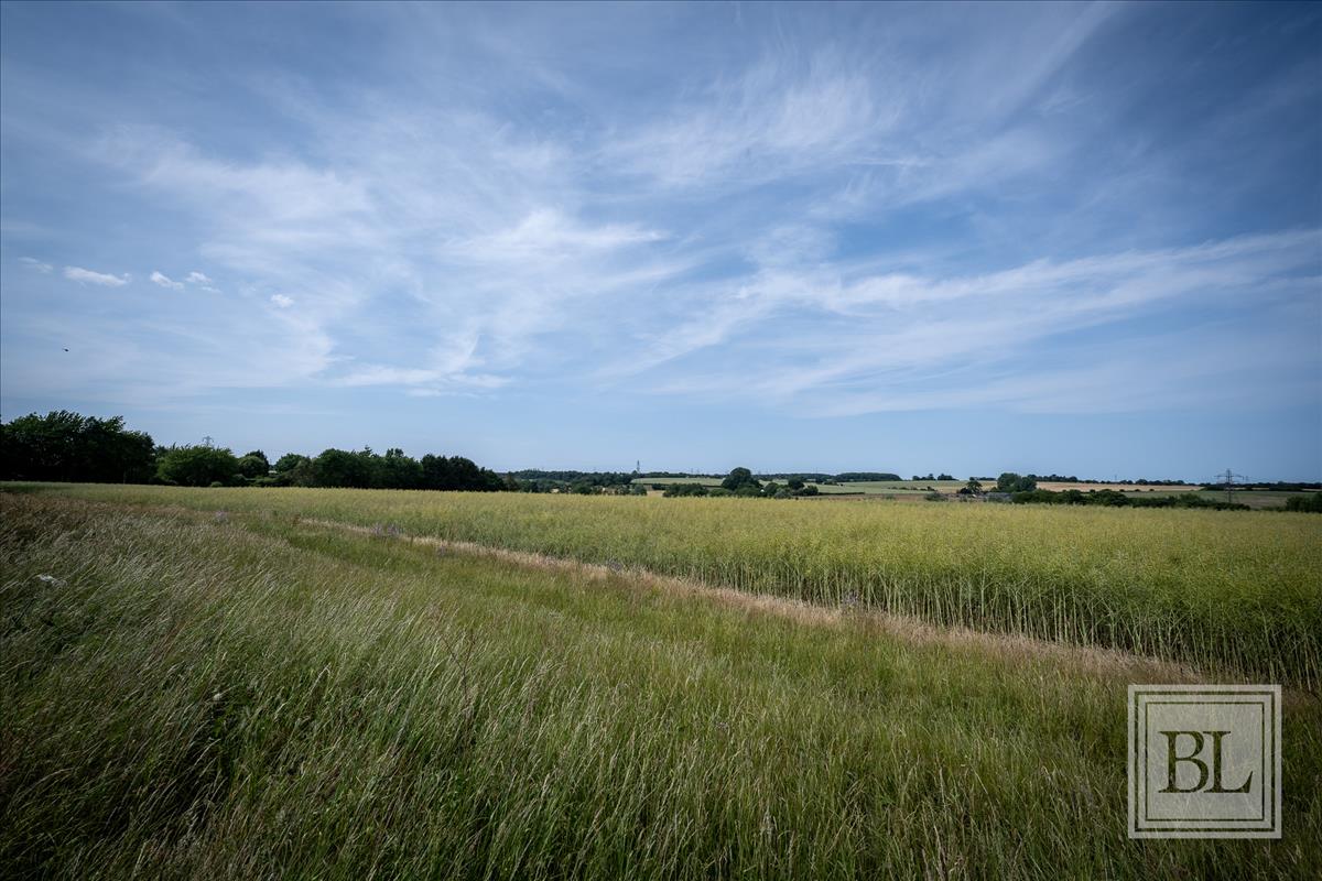 Property Image d433fa3c-216f-4c93-9600-89c69dce1a32