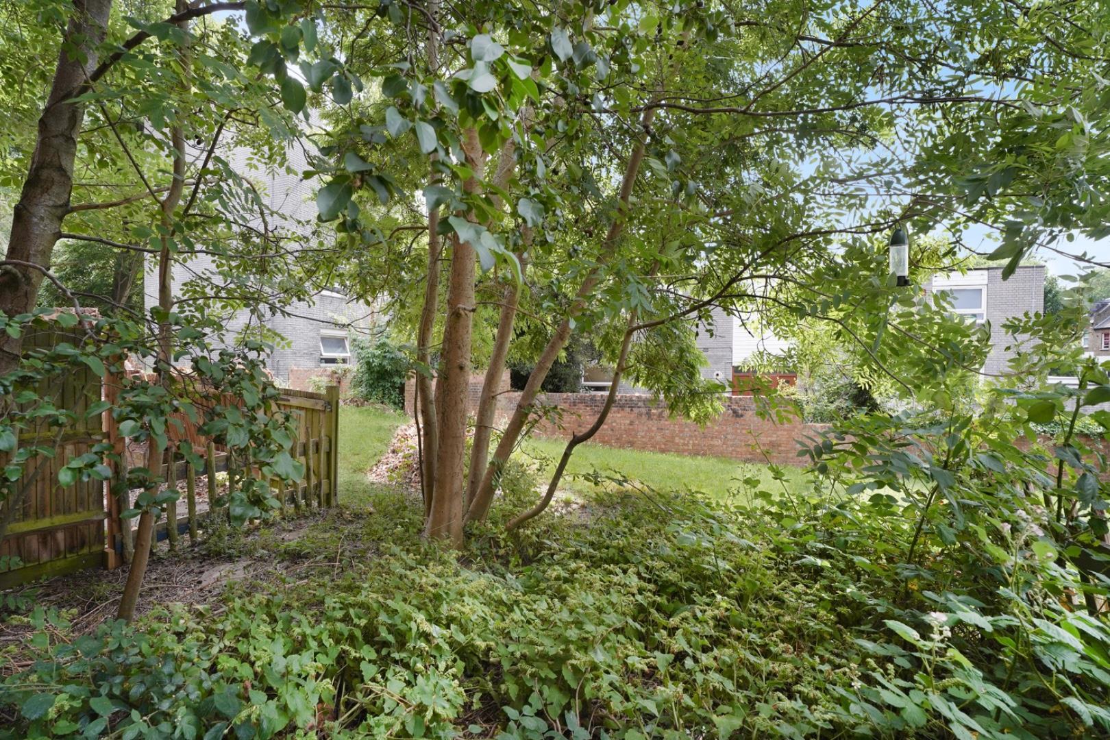Property Image d49c08d0-133f-47c4-9b6a-56a67bbbd6ee