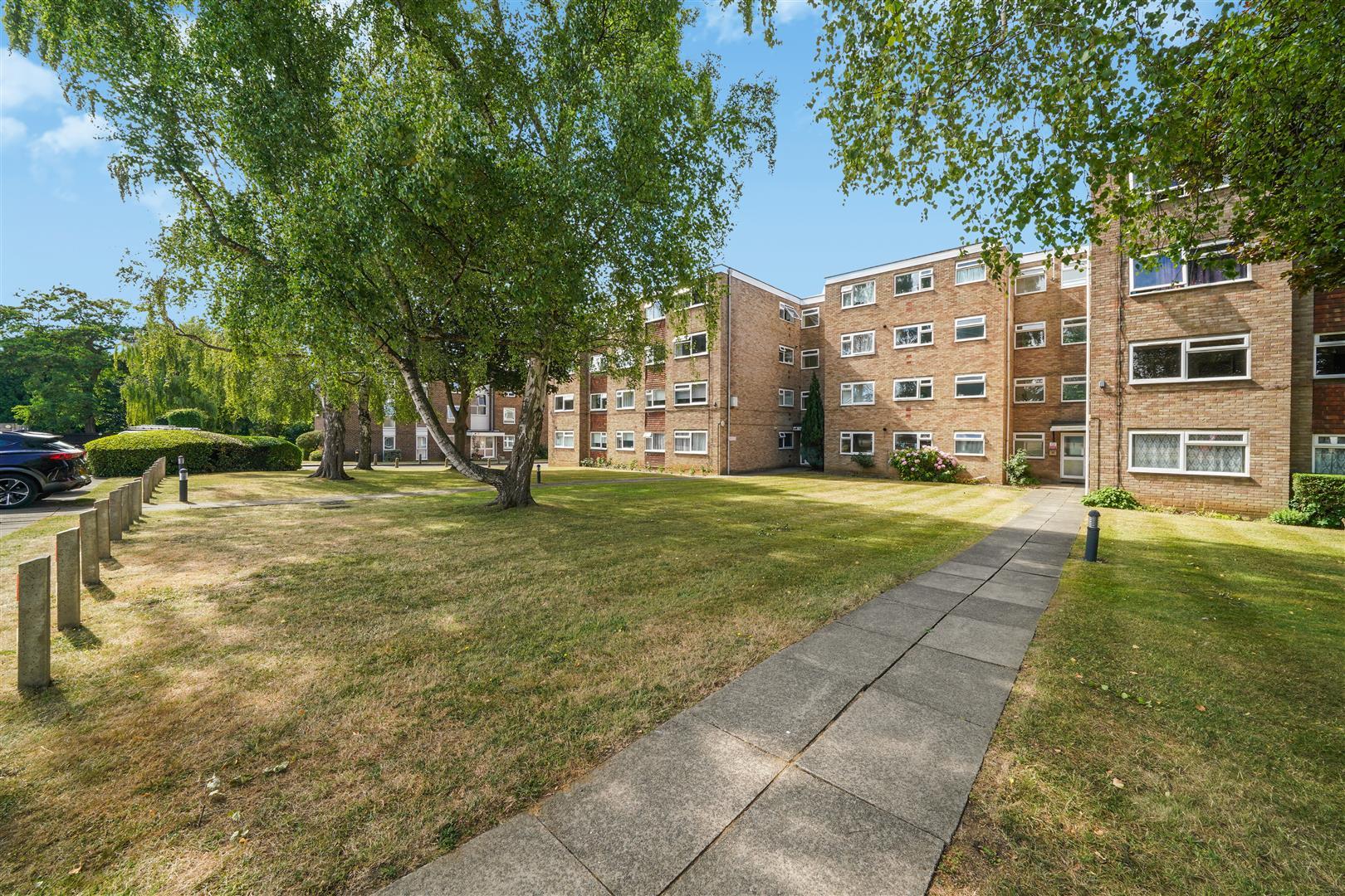 Image 12