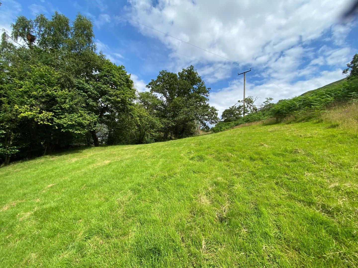 Property Image d4b30b12-1dfc-448d-a947-4c8fa02cff1e
