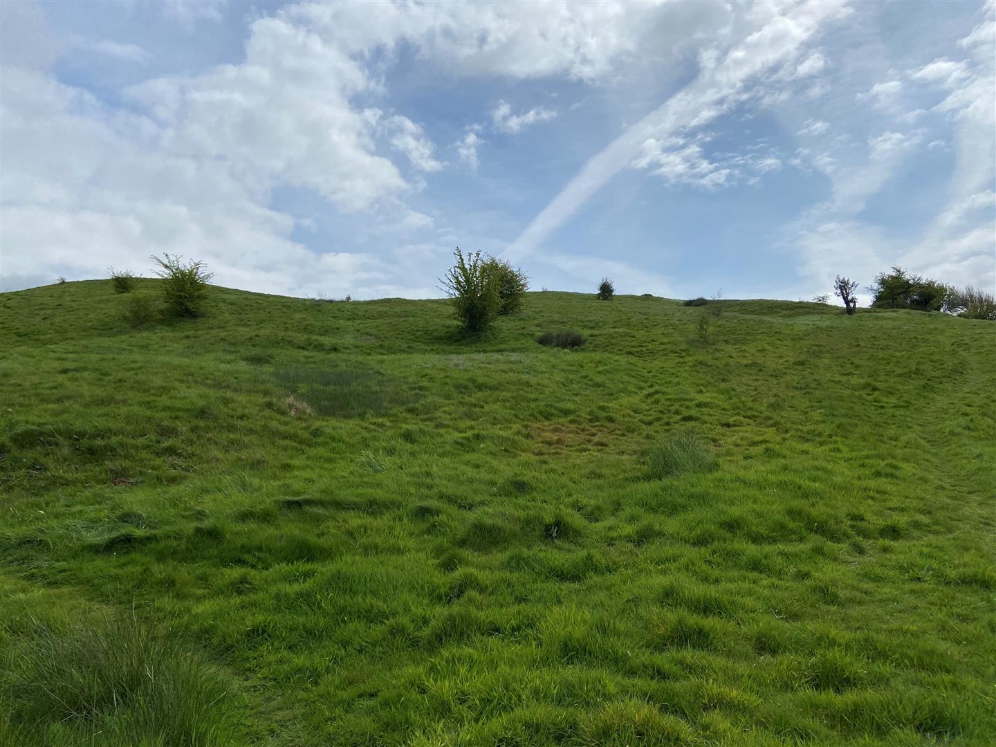 Property Image d51f152b-d892-485d-b3f7-3e301d4e2551