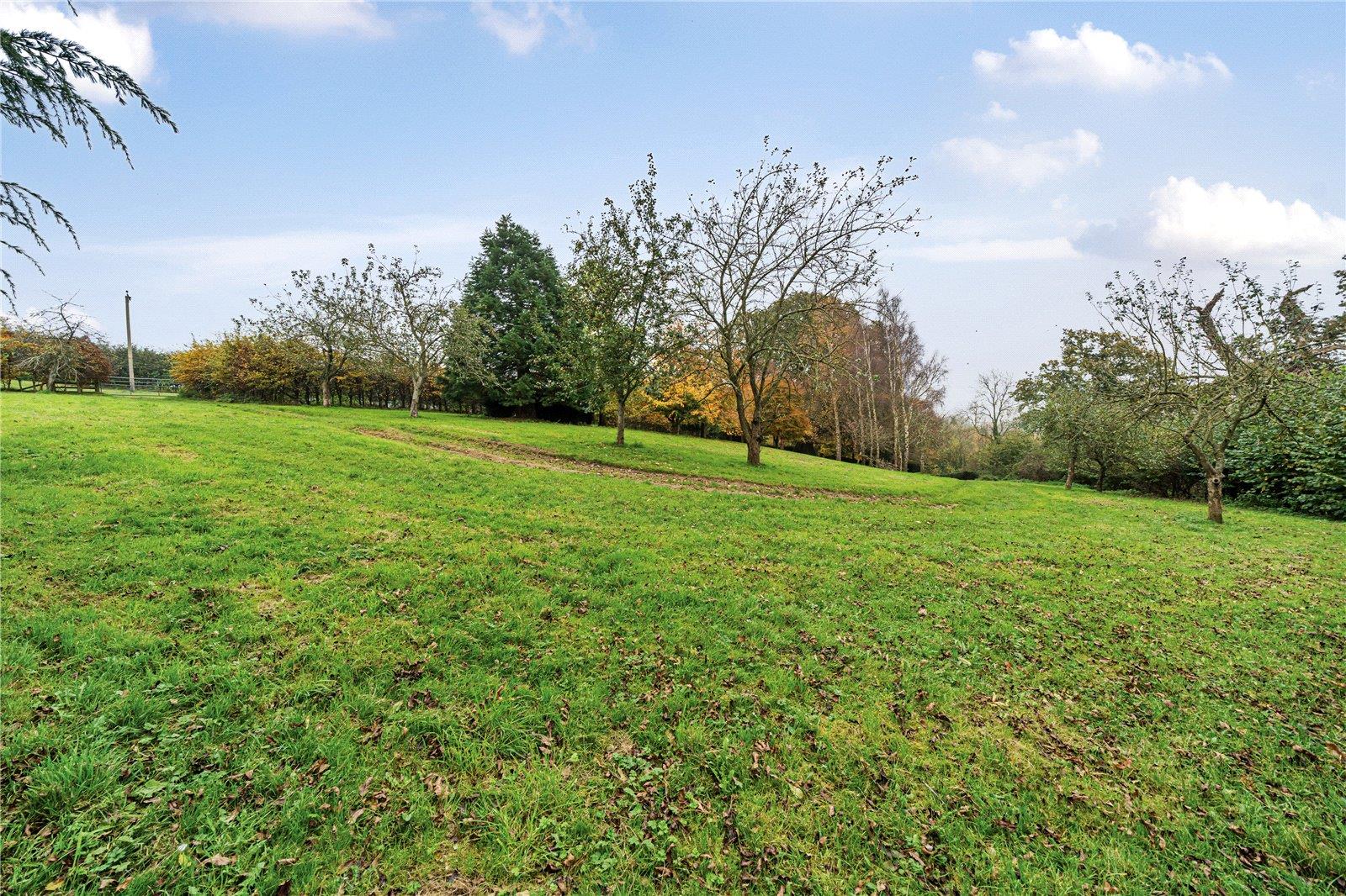 Image 30