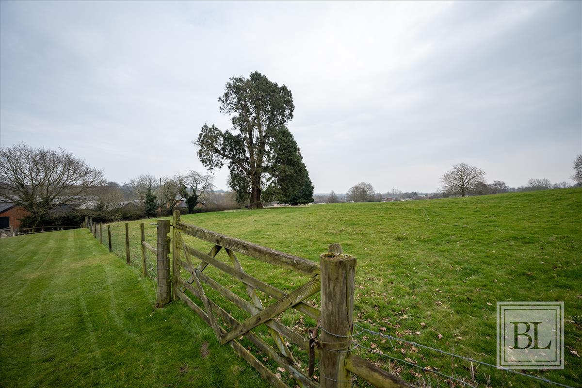 Property Image d52d83fb-fdd2-4fa7-821c-b385752480b9