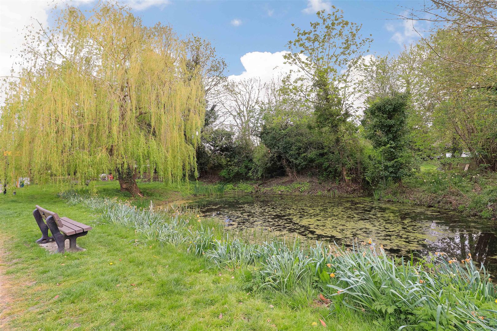 Property Image d52da3db-f4bb-4bb4-9b64-96fd2d655d1a